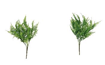 DEKORATIVNA PAPRAT  A2C CM40 101560